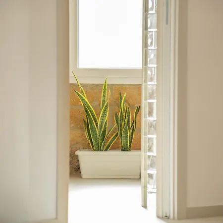 Daira 103 Luxury Sulle Mura Di * チェファル