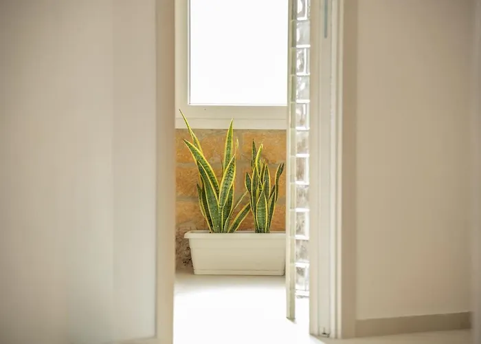 Appartement Daira 103